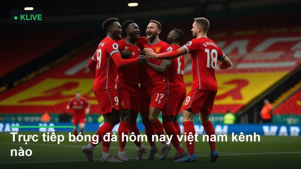 đội tuyển bóng đá Việt Nam thi đấu - trực tiếp bóng đá hôm nay việt nam kênh nào